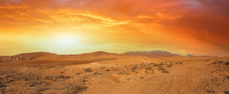 Afbeeldingen van Orange sky in the desert