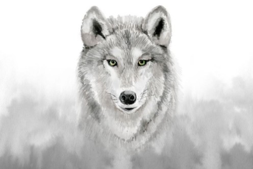 Bild på Watercolor grey wolf