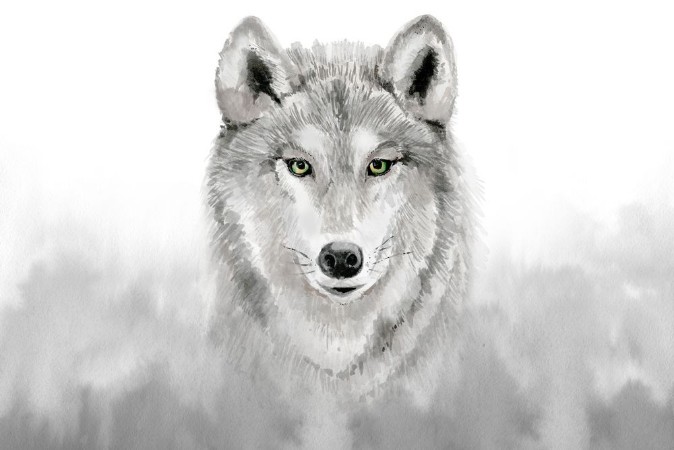 Watercolor grey wolf photowallpaper Scandiwall