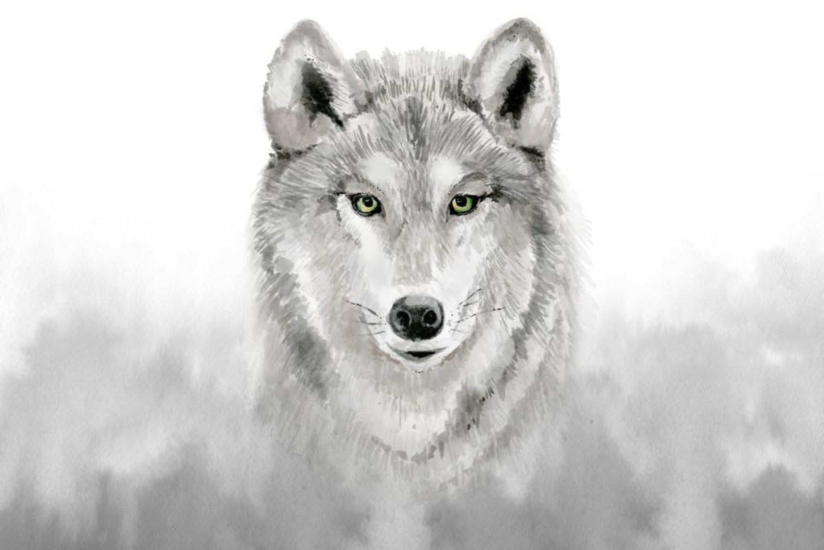 Bild von Watercolor grey wolf