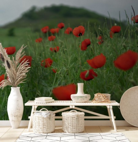 Image de Poppy field