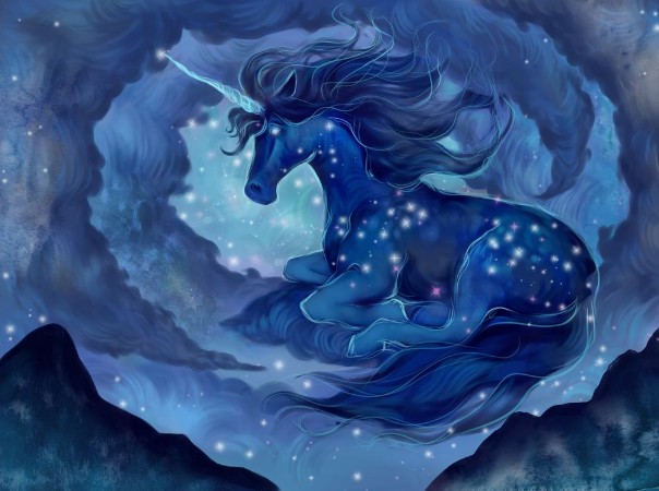 Afbeeldingen van Starry Unicorn