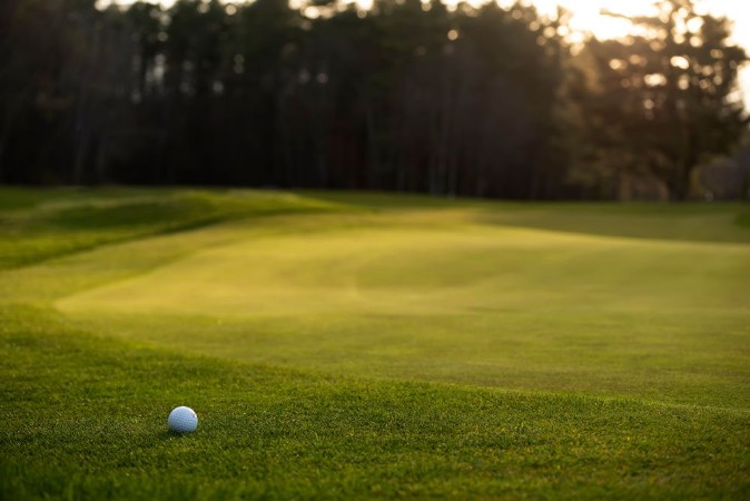 Afbeeldingen van Golf Ball On The Green Grass