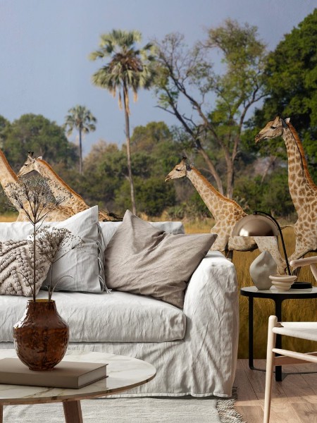 Afbeeldingen van Running giraffes