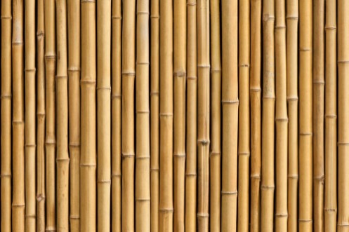 Afbeeldingen van Bamboo fence