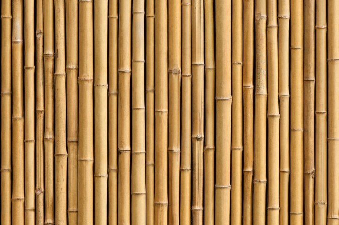 Bamboo fence photowallpaper Scandiwall