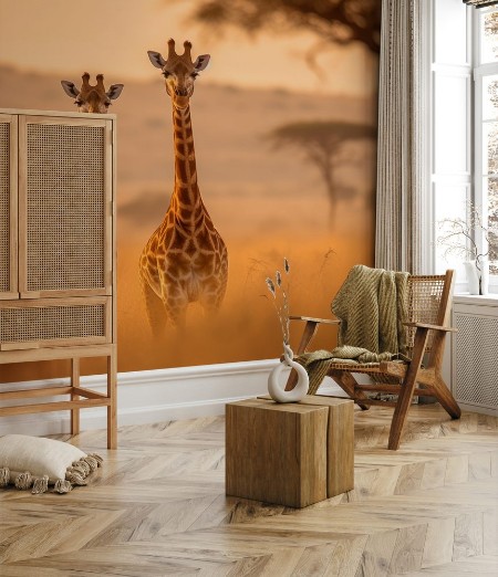 Image de Pair of giraffes standing in the savannah