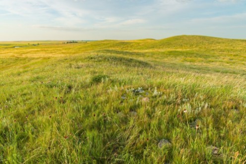 Image de Grass Landscape