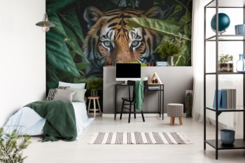 Afbeeldingen van Tiger in the jungle