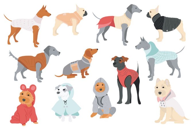 Dogs with clothes photowallpaper Scandiwall
