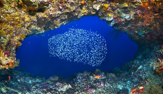 Bild på Underwater Cave
