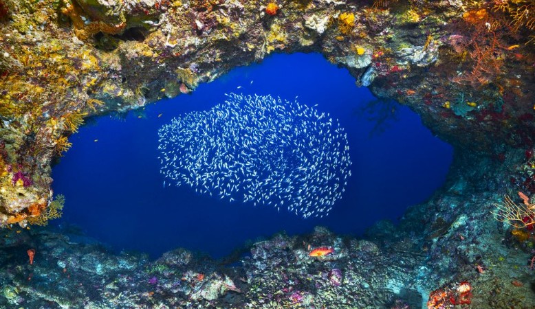 Picture of Underwater Cave