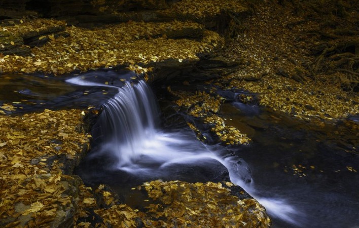Bild på Autumn Waterfall