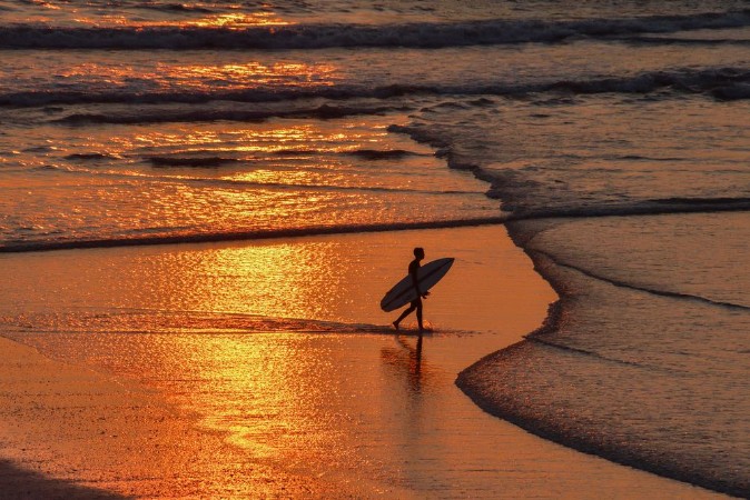 Image de The Sunset Surfer