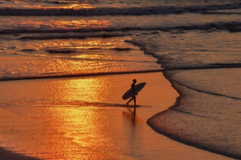The Sunset Surfer photowallpaper Scandiwall