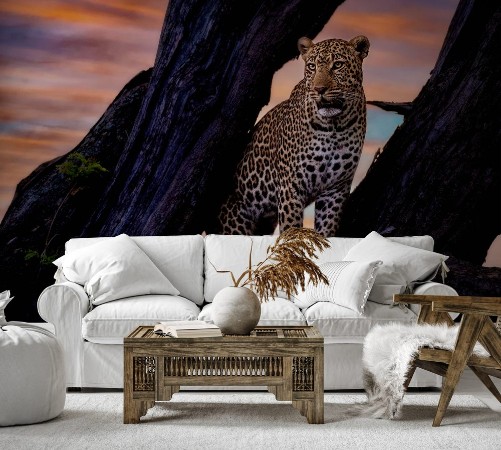 Picture of Leopard im Baum