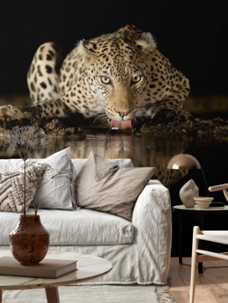 Afbeeldingen van Leopard Drinking