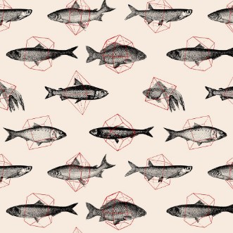 Afbeeldingen van Fish In Geometrics