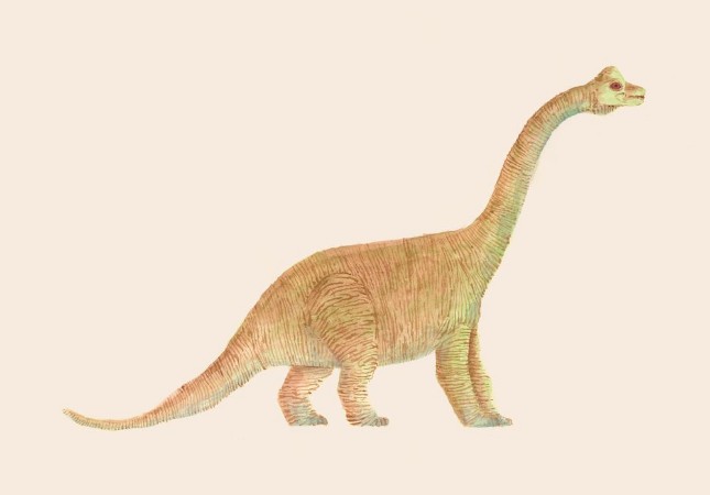 Bild på Diplodocus