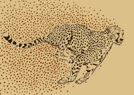 Afbeeldingen van Cheetah Full Sprint
