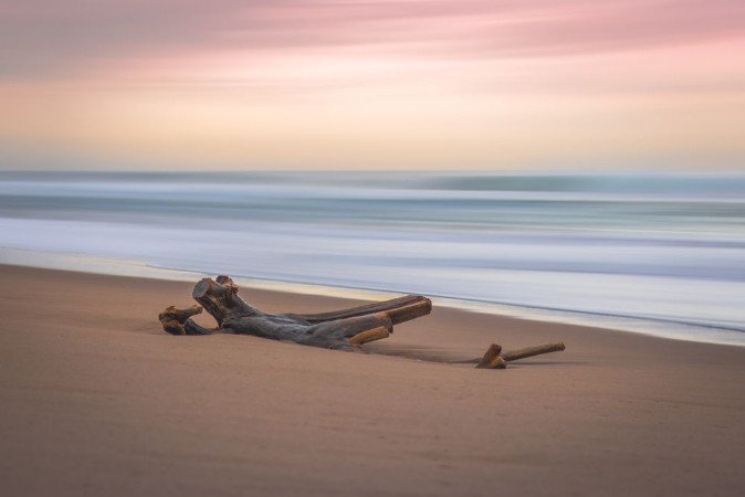 Picture of Driftwood Sunrise