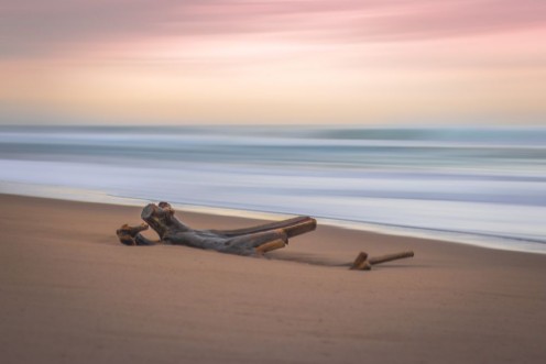 Driftwood Sunrise photowallpaper Scandiwall