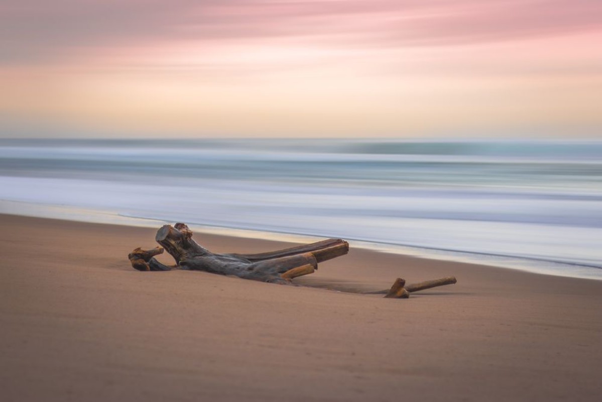 Afbeeldingen van Driftwood Sunrise