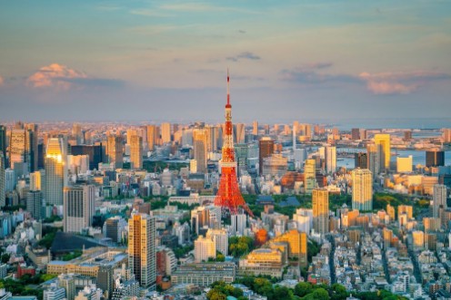 Bild på Tokyo skyline  with Tokyo Tower in Japan