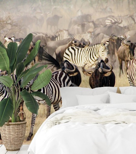 Image de Zebras and wildebeest during the Big Migration in Serengeti National Park