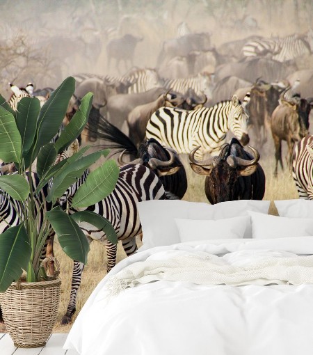 Afbeeldingen van Zebras and wildebeest during the Big Migration in Serengeti National Park