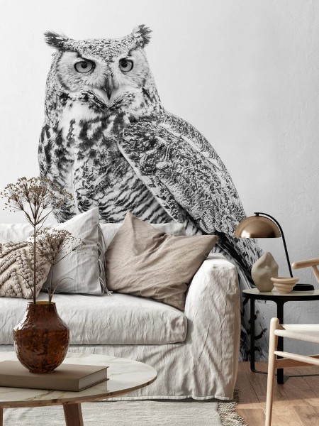 Bild på Snow Owl on Post