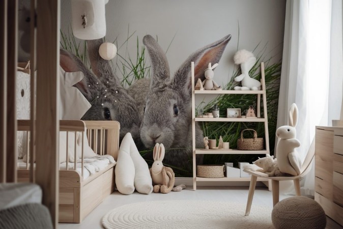 Picture of Grey rabbits