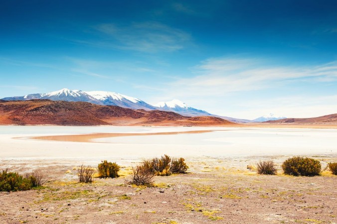 Afbeeldingen van High-altitude lagoon and volcano on the plateau Altiplano Bolivia