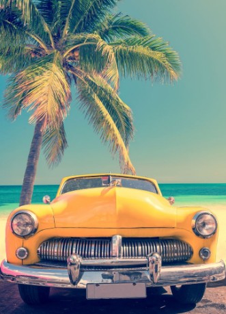 Afbeeldingen van Classic car on a tropical beach with palm tree vintage process