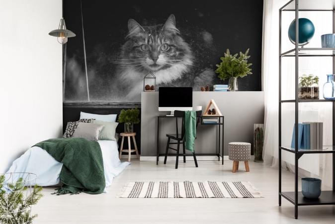 Afbeeldingen van Cat looking through window Black and White