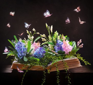 Image de Open Bible and garden