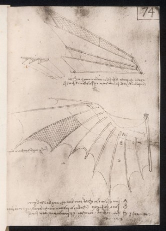 Picture of Leonardo Wings Date circa 1500