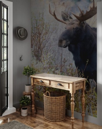 Picture of BULL MOOSE IN AUTUMN COLORS STOCK IMAGE