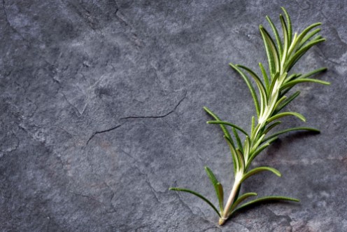 Image de Rosemary on Slate Top View