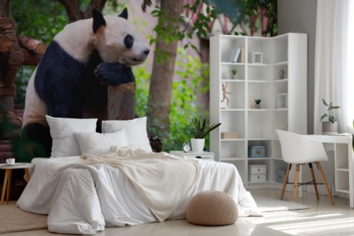 Afbeeldingen van Giant panda sitting on wood and looking far ahead