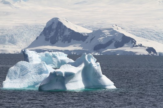 Bild på Antarctic edge