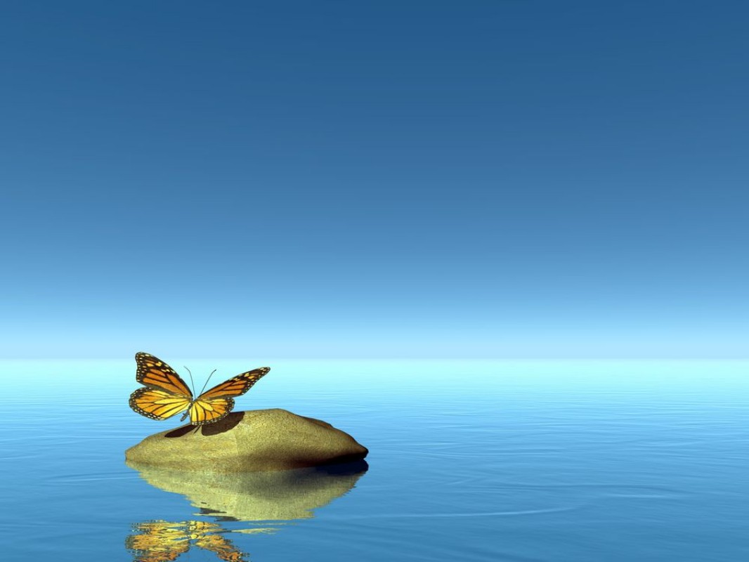 Afbeeldingen van Nature peace - 3D render