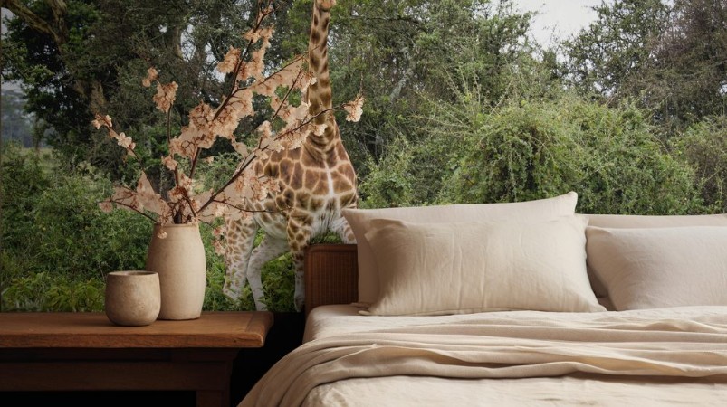 Image de Giraffe among the trees in Lake Nakuru National Park