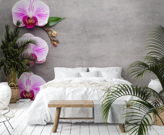 Picture of Spa orchid theme objects on grey background