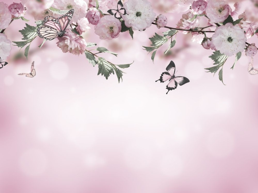 Afbeeldingen van Flowers background with amazing spring sakura with butterflies Flowers of cherries