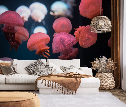 Image de Small jellyfishes swimming in aquarium