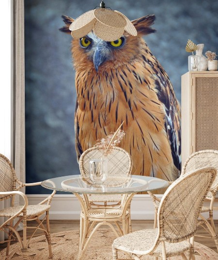 Picture of Owl