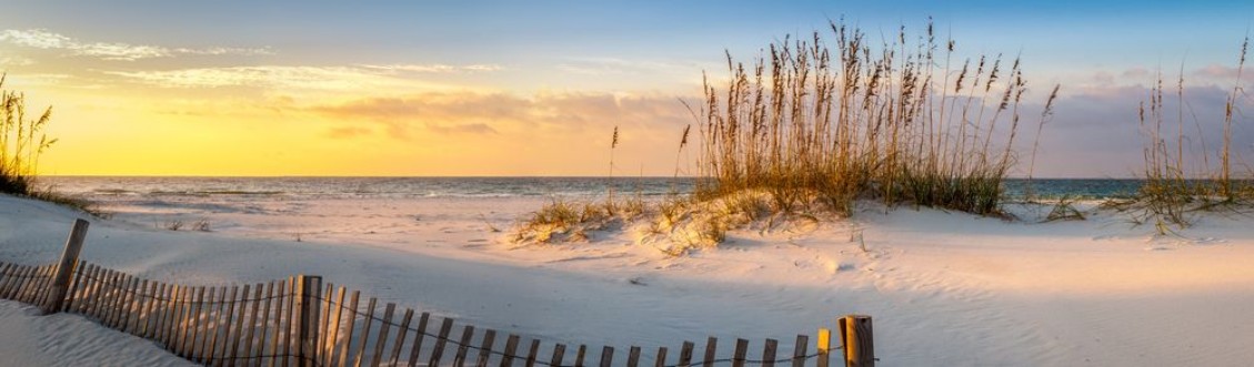Bild på Pensacola Beach Sunrise