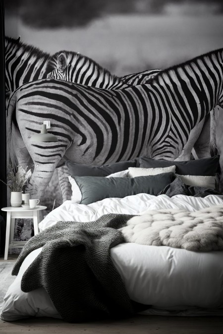 Image de Zebra group