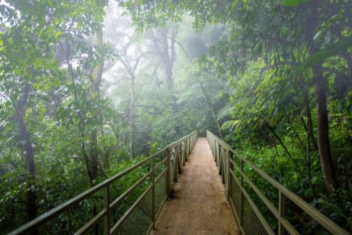Afbeeldingen van Skywalk cloudforest Costa Rica